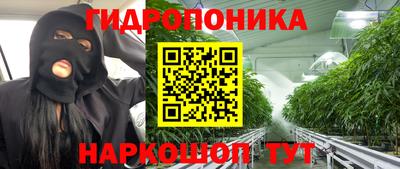 соль ск Кимры